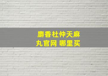 麝香杜仲天麻丸官网 哪里买